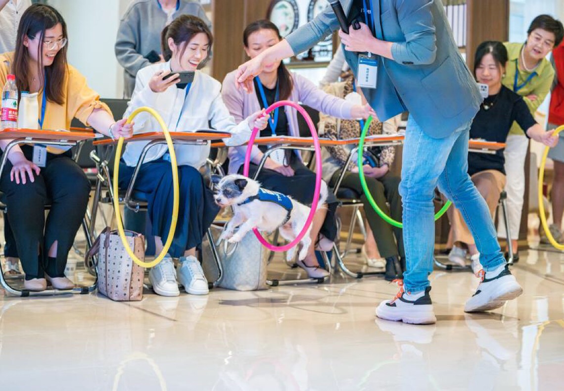 Suprema corte da China pede responsabilidade com animais de estimação