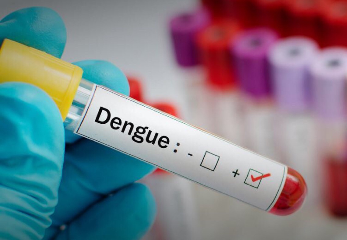 Vacina contra dengue: entenda porque idosos precisam de receita médica