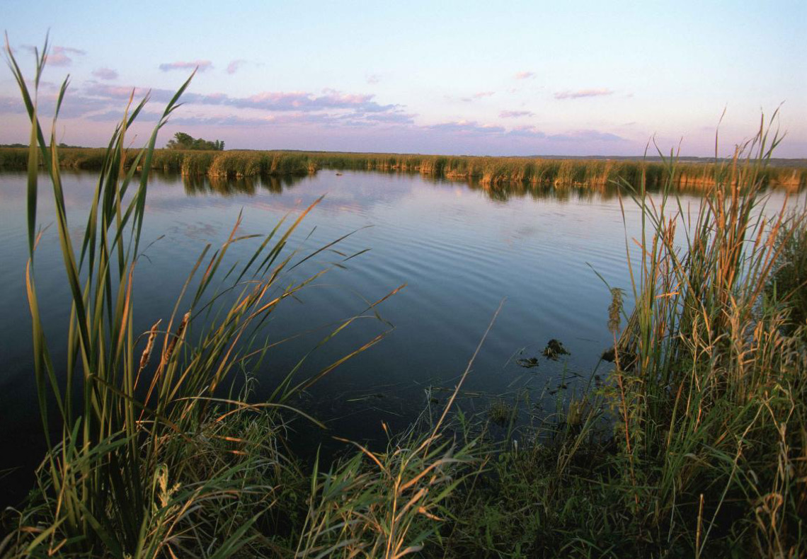 Pantanal tem rios com nível abaixo da média mesmo após chuvas
