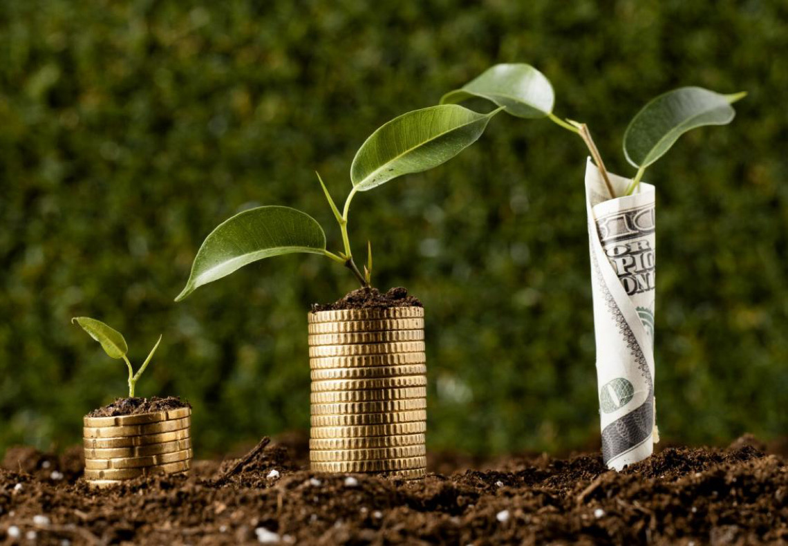 Investimentos sustentáveis: considerações éticas