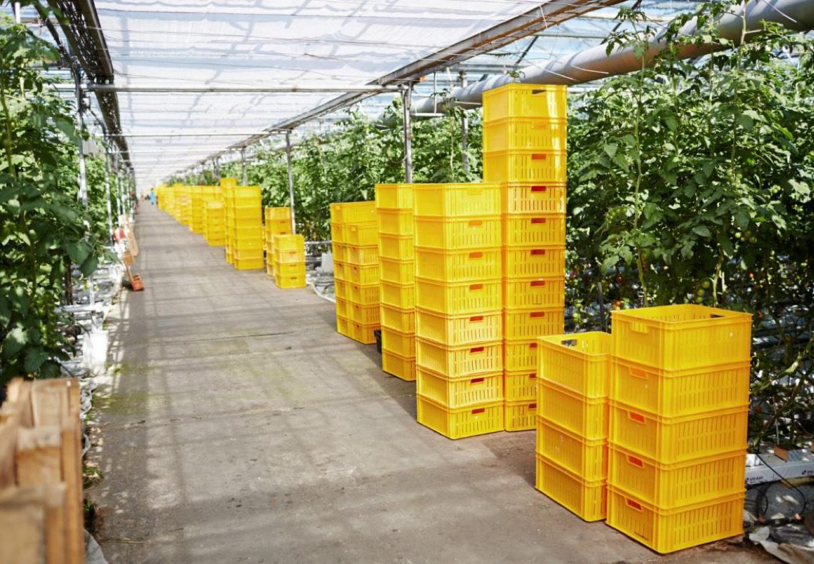 Armazenamento de produtos defensivos em propriedades rurais