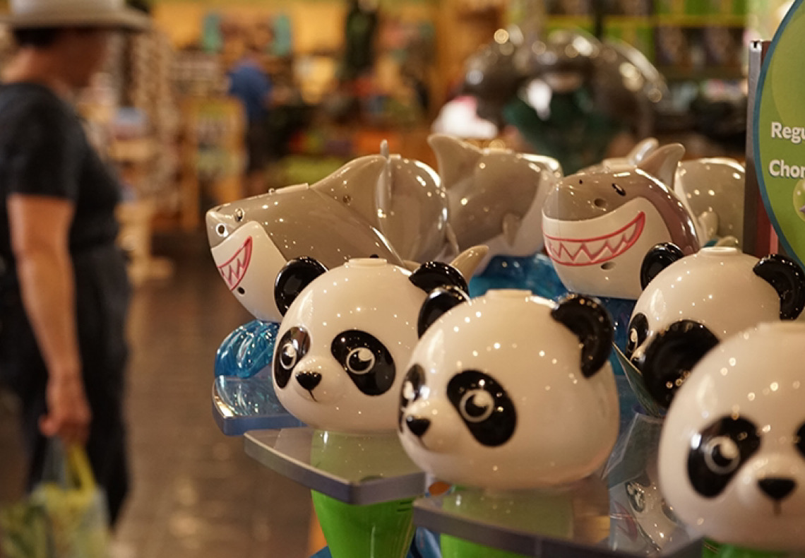 Americanos aguardam ansiosos retorno dos pandas gigantes