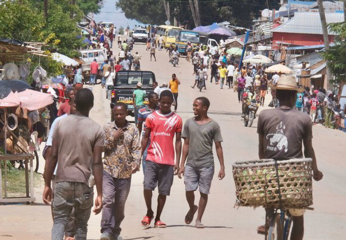 Portugal reforça apelo por renovação de missão de combate ao terrorismo em Moçambique