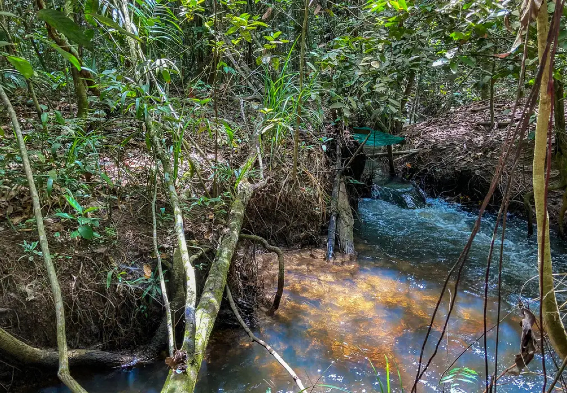 Pesquisa de longo prazo aponta impacto ambiental da agricultura