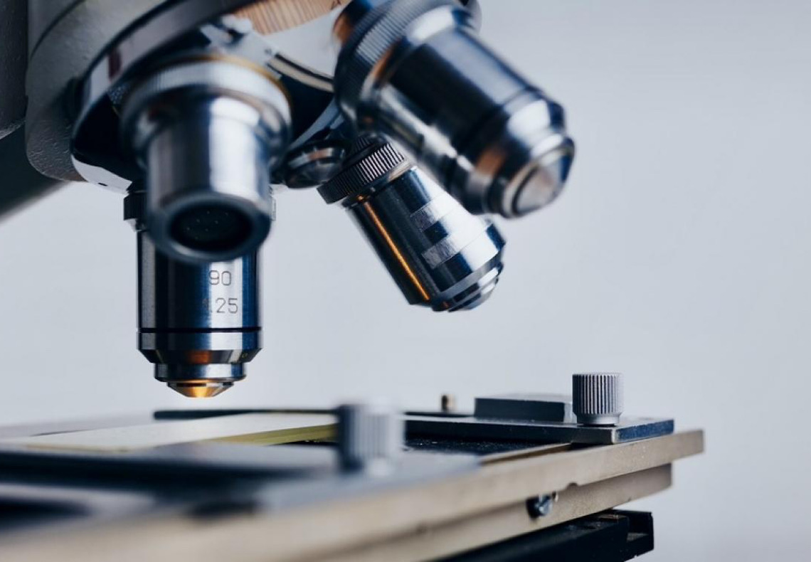 Antiviral contra dengue está em fase de testes pré-clínicos, diz pesquisador de Stanford