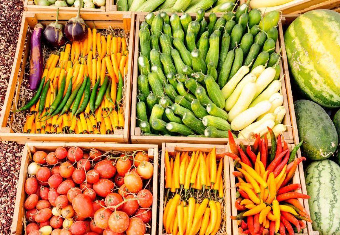 Brasil quer expandir vendas agrícolas à África e à Índia após paralisação de negociações Mercosul-UE