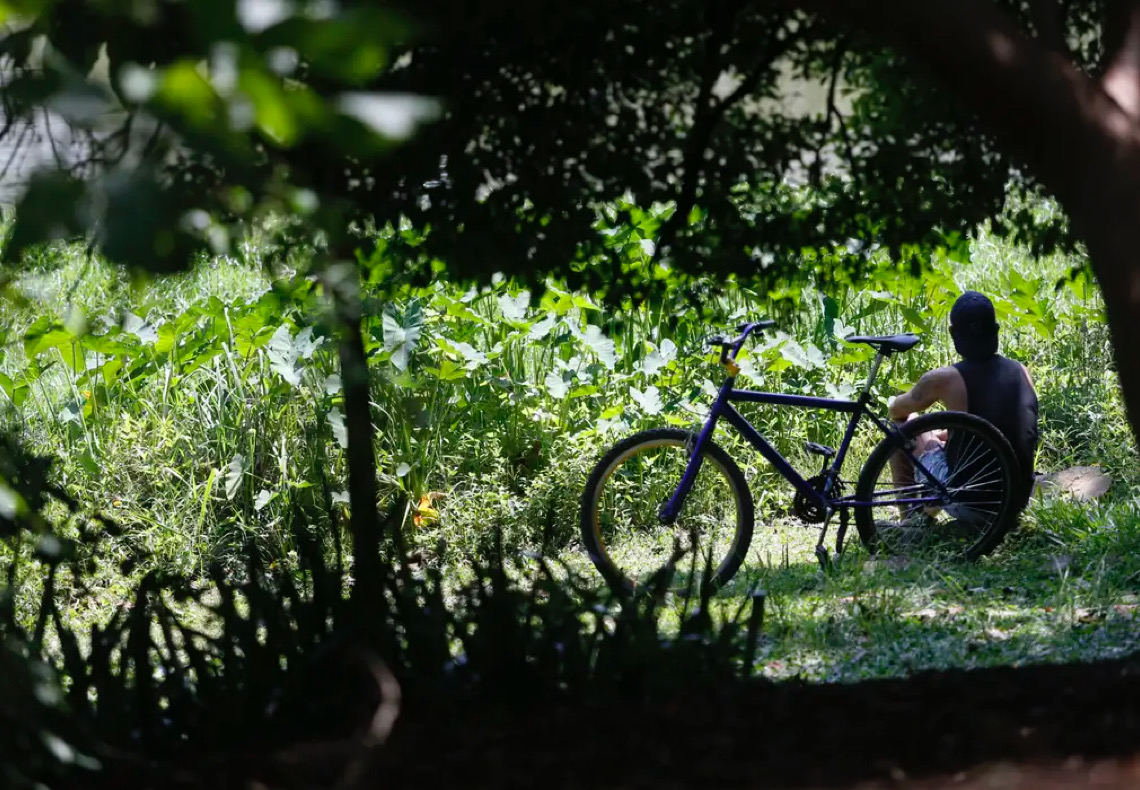 Outono chega com temperaturas acima da média em todas as regiões