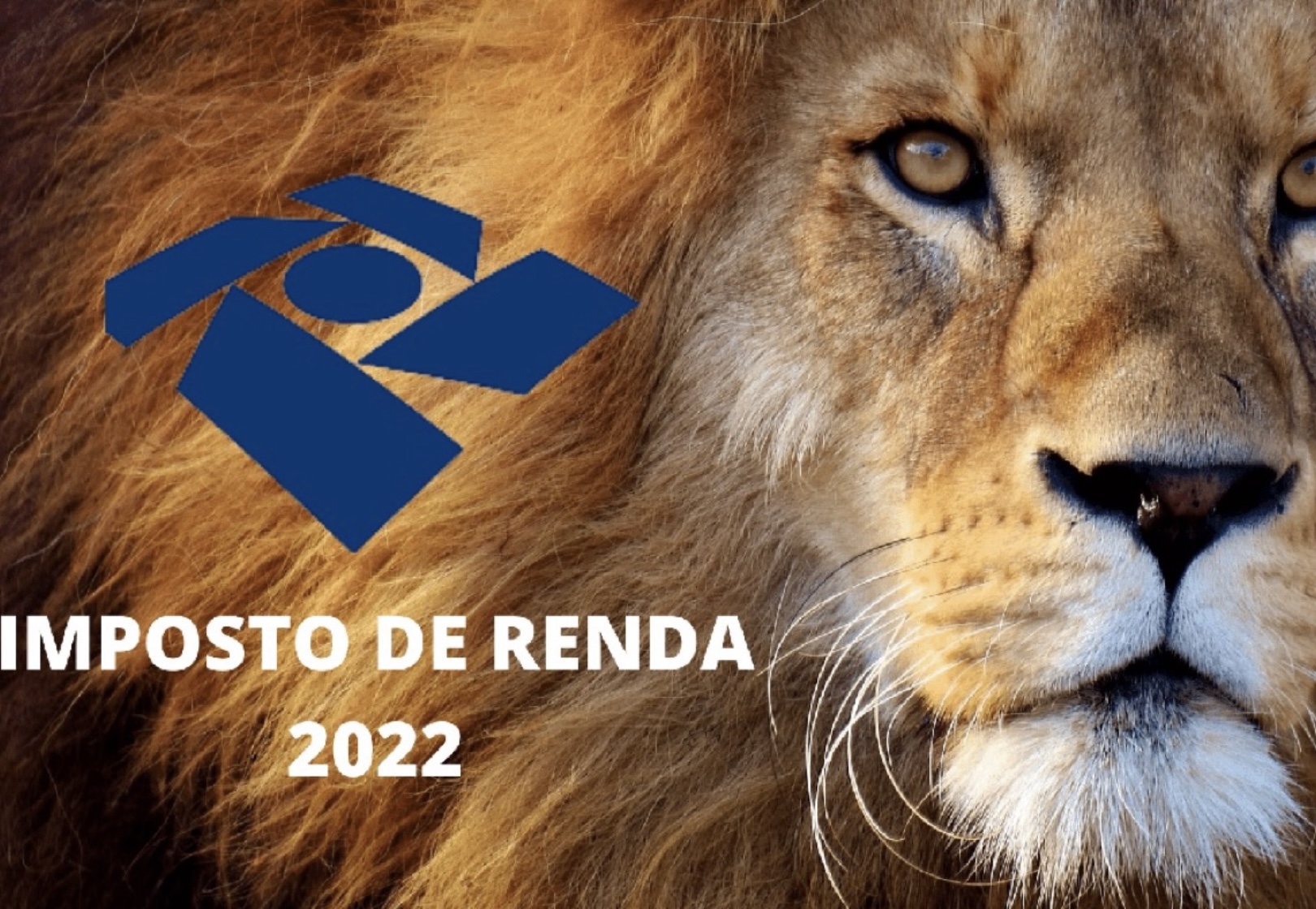 Uso da declaração pré-preenchida do Imposto de Renda 2024 não evita malha fina; entenda