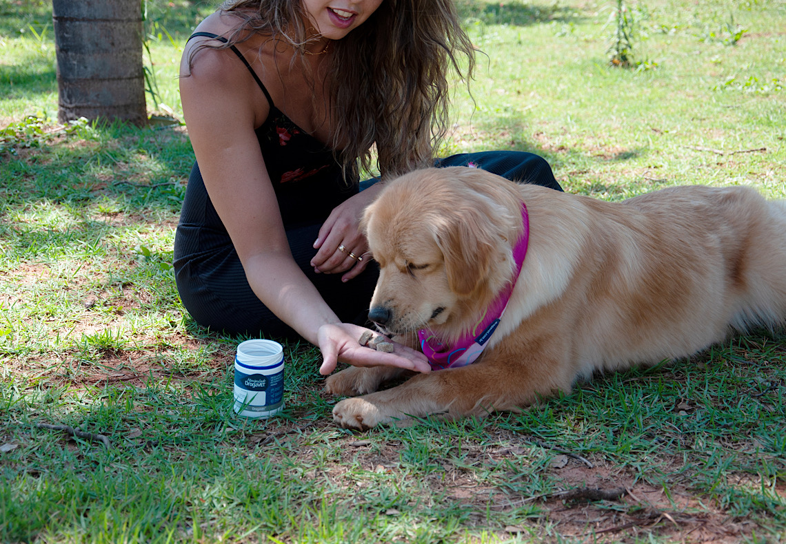 Do chocolate aos cosméticos: conheça os perigos para os pets