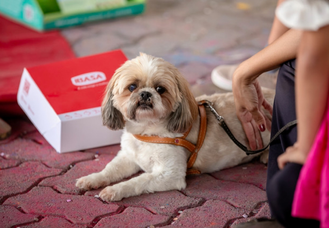 Boulevard Shopping realiza Páscoa Pet e feira de adoção