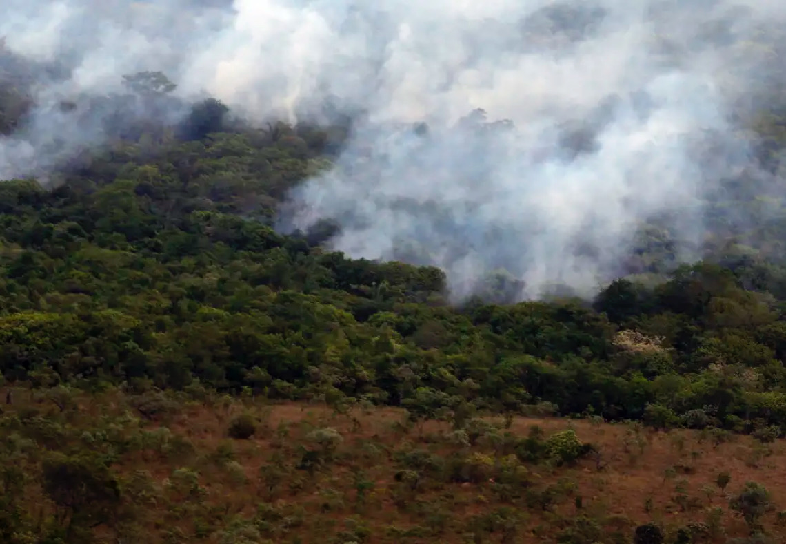 Ibama cria plataforma para acompanhar recuperação ambiental