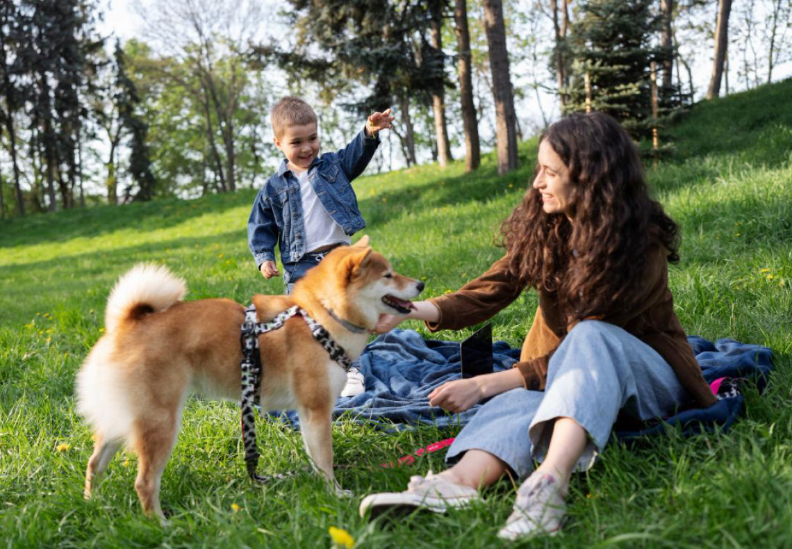 Segurança em passeios no parque com cachorro: doenças a evitar
