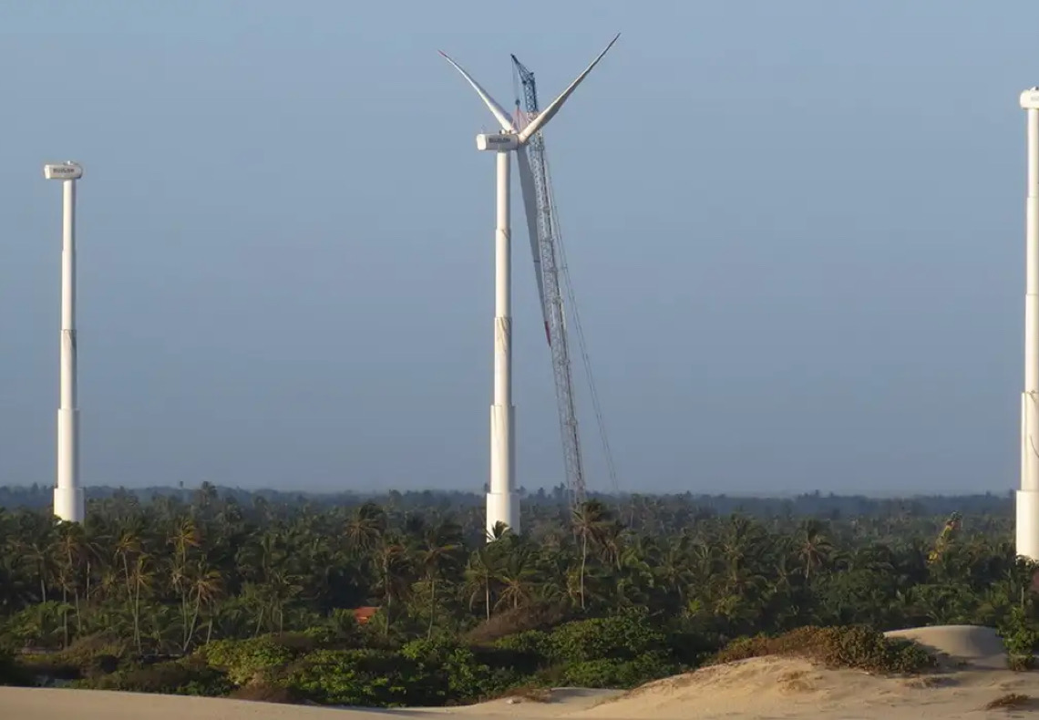Eólica offshore no Brasil conflita com petróleo, internet, praias turísticas e de vida animal