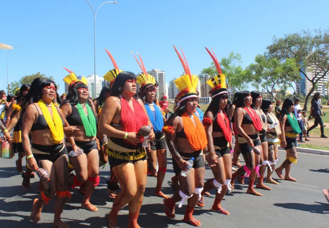 Protagonismo das mulheres indígenas: da luta por território ao parlamento