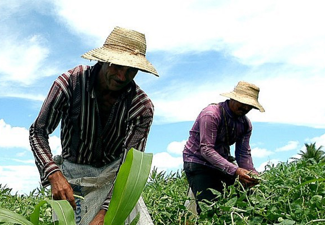 Entidades apresentam ao governo propostas de melhorias no Plano Safra para os trabalhadores