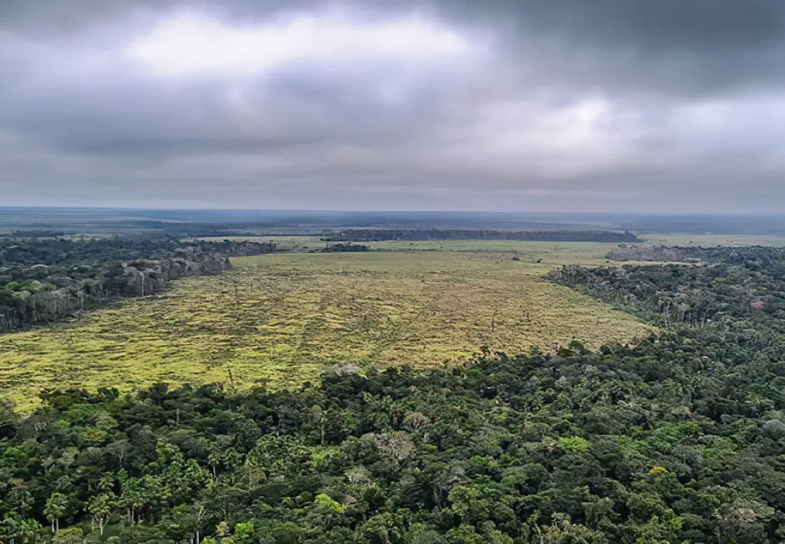 Ipam e Banco Mundial lançam plataforma sobre desmatamento na Amazônia 