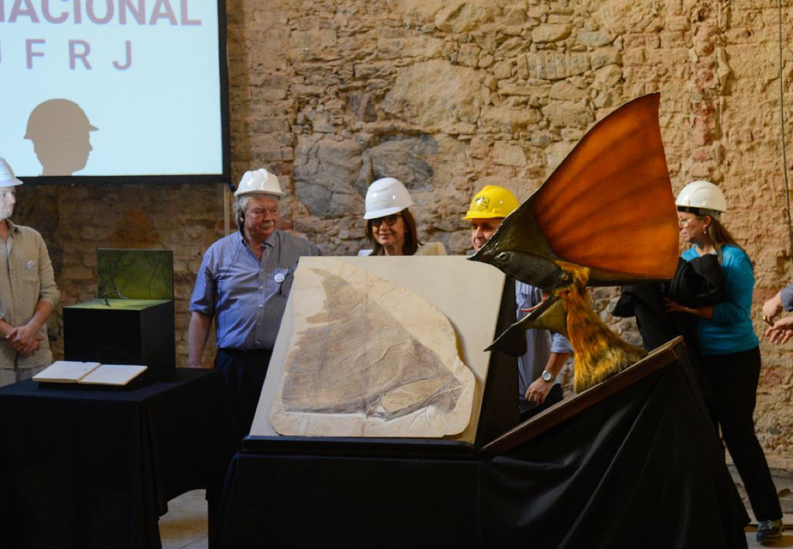 Museu Nacional recebe doação de mais de mil peças