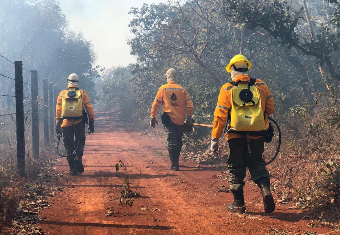 Lançado edital de processo seletivo para 150 brigadistas florestais