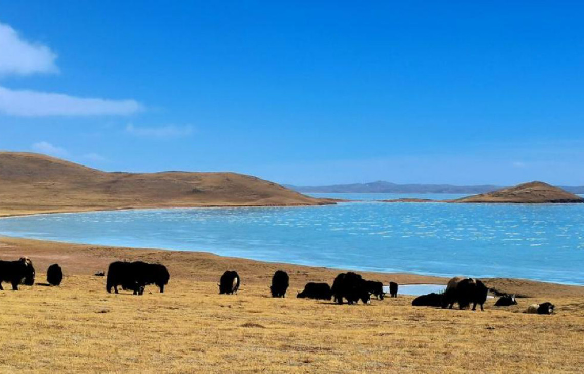 Índice de monitoramento ecológico do Parque Nacional de Sanjiangyuan da China recebe aprovação
