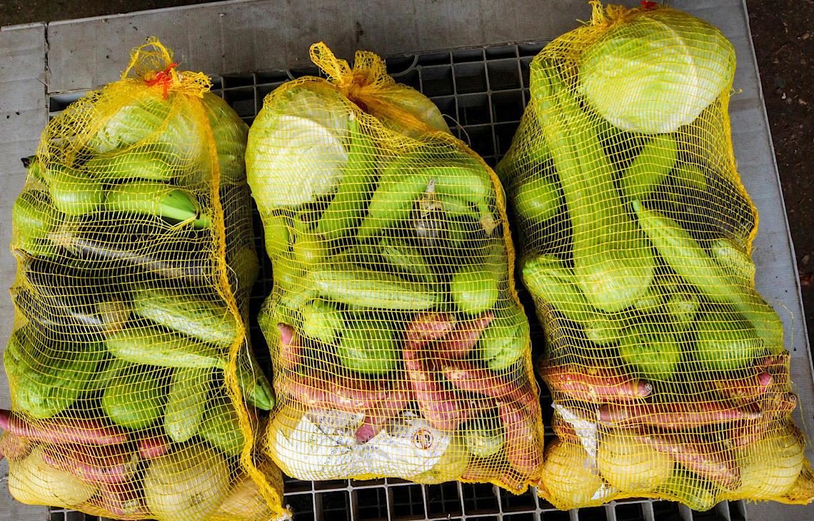 Cesta verde complementa Cartão Prato Cheio e reforça segurança alimentar no DF
