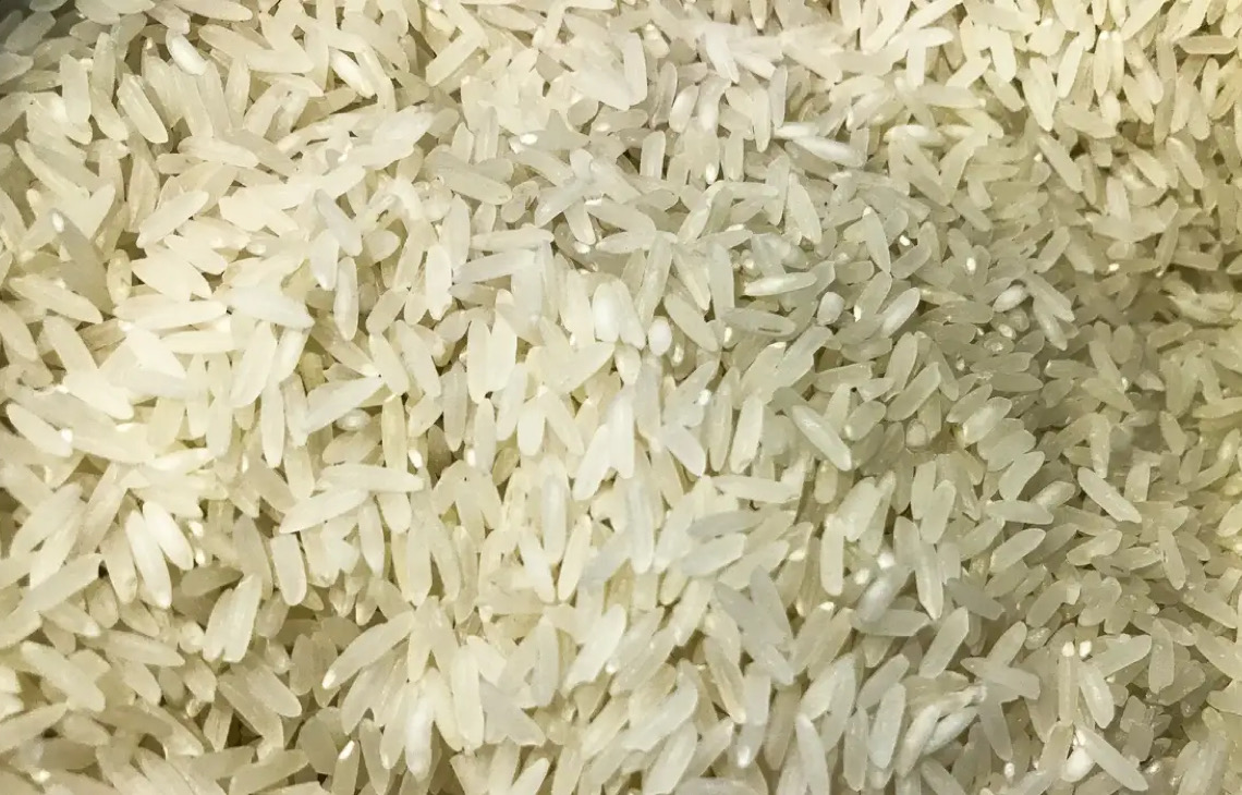 Leilão de arroz foi adiado após alta de preços no Mercosul, diz ministro da Agricultura