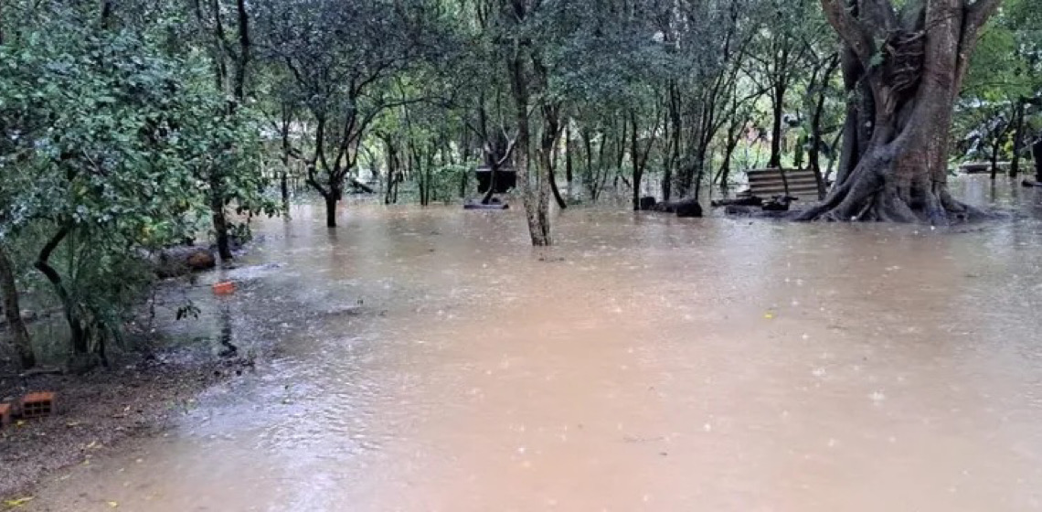 Crise no Rio Grande do Sul: um olhar para as redes agroalimentares