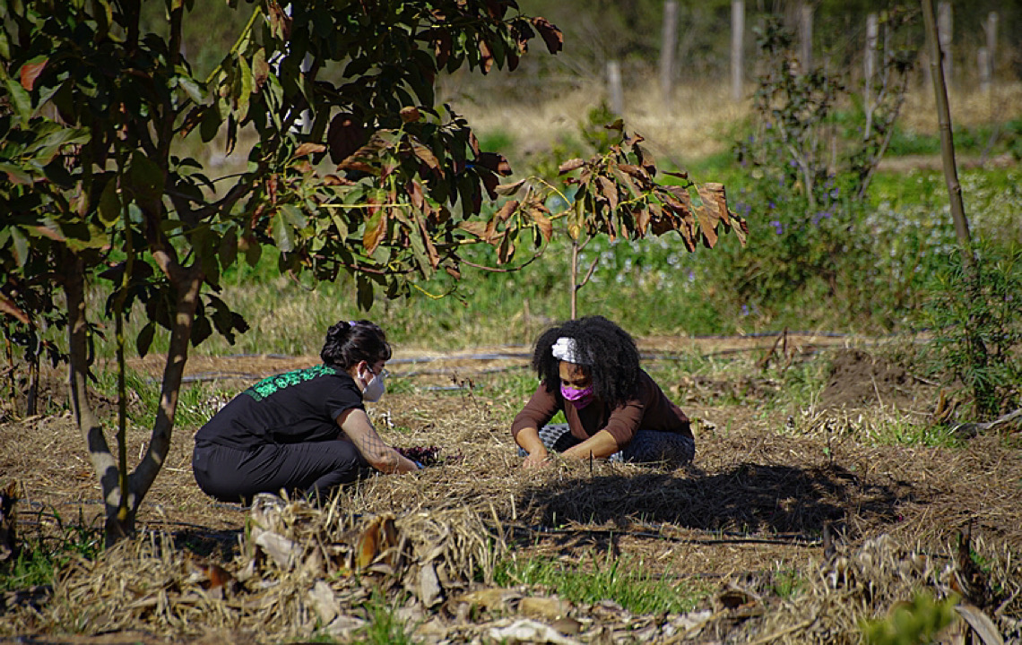Agricultores familiares notificam governador e deputados contra projeto de privatização das escolas no Paraná 