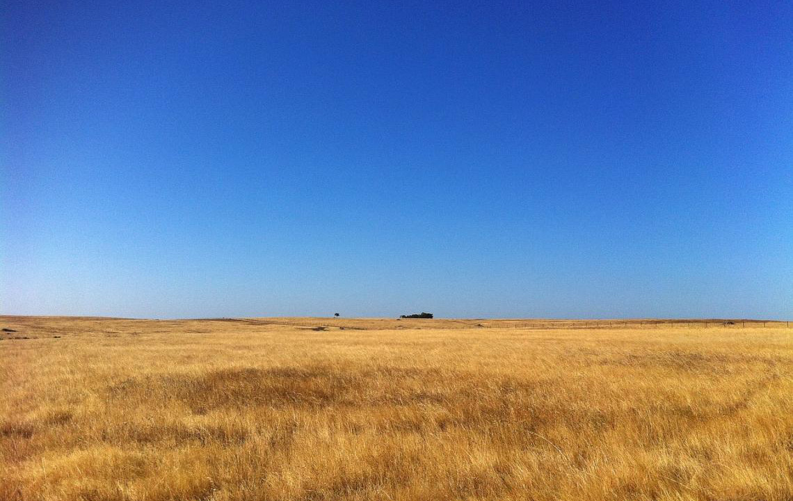 Cidades devem ter falta de água e de alimentos por desertificação que atinge Nordeste, alerta especialista