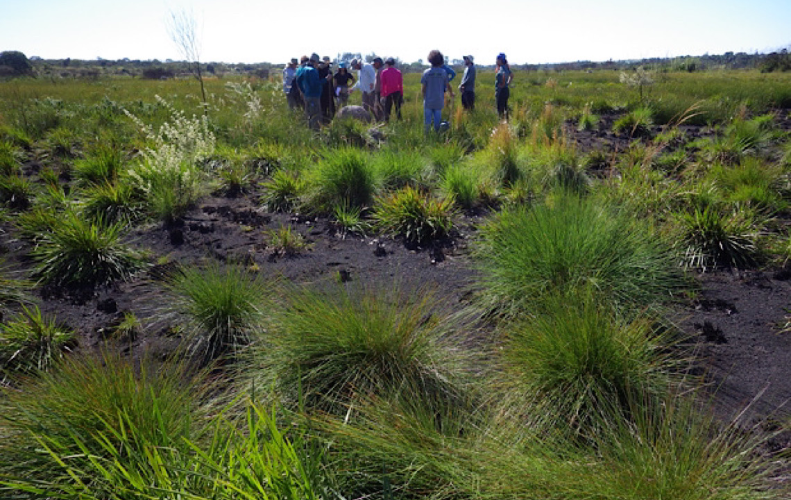 UnB coordena rede de pesquisa internacional sobre a biodiversidade do Cerrado