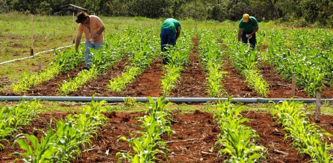 Grupo de trabalho que beneficia programas ambientais é restruturado