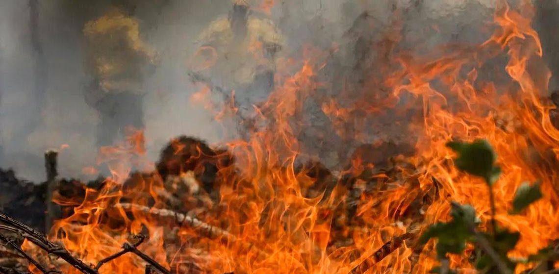Combate do governo ao fogo no pantanal é insuficiente e precisa envolver Congresso, dizem especialistas