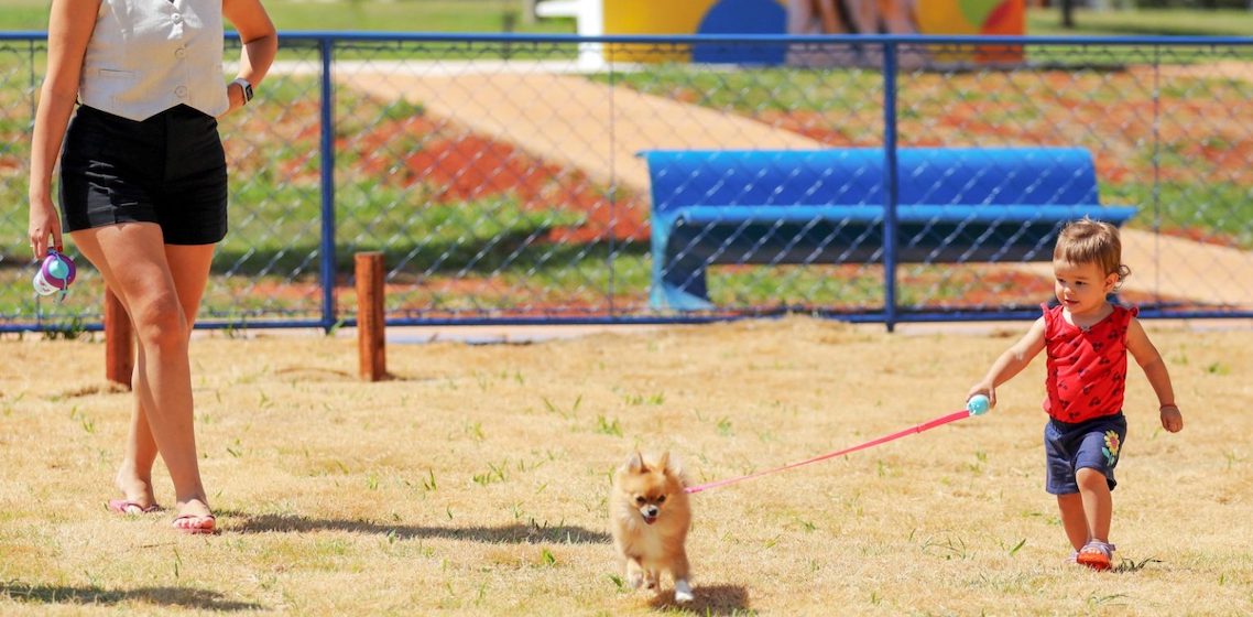 Campanha Pet sem Sujeira alerta tutores para recolhimento das fezes de animais