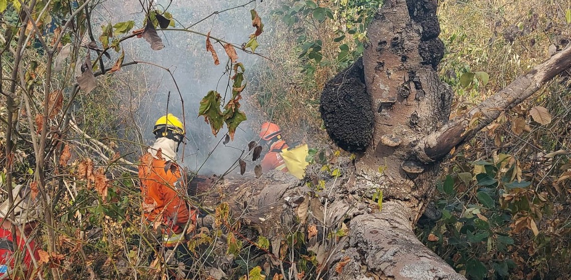 Bombeiros do DF completam duas semanas de combate aos incêndios florestais no Pantanal