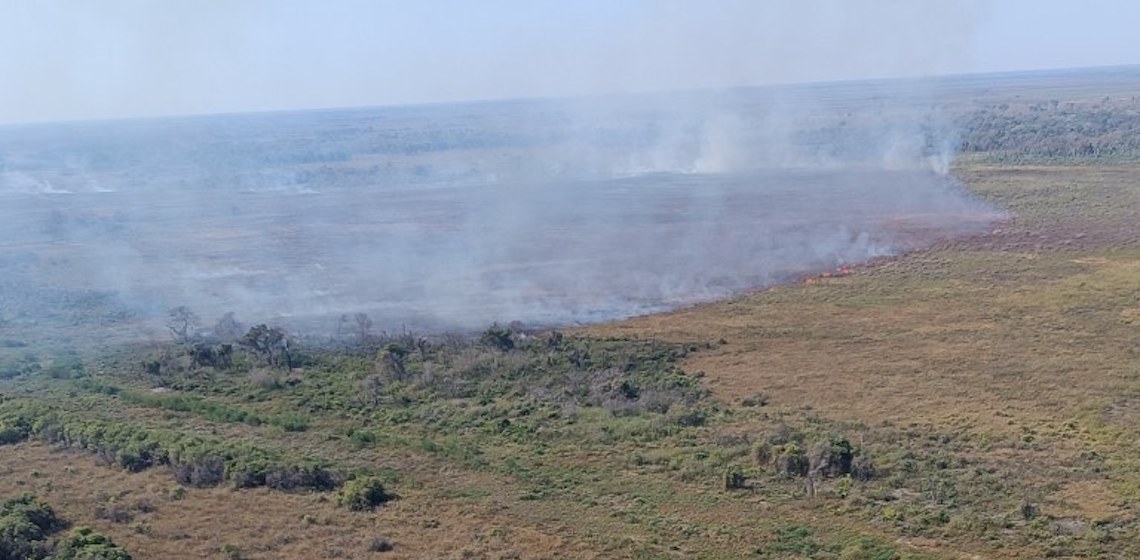 Brigadas abrem trincheiras para conter o fogo no Parque Nacional do Pantanal