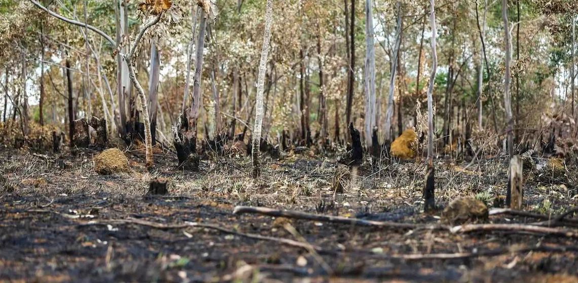 Mudanças climáticas já interferem em secas e cheias na Amazônia