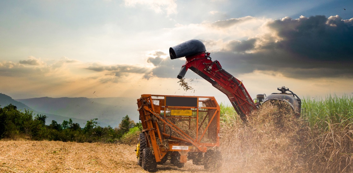 Exportações do agronegócio atingem US$ 15,20 bi em junho e US$ 82,39 bi no semestre