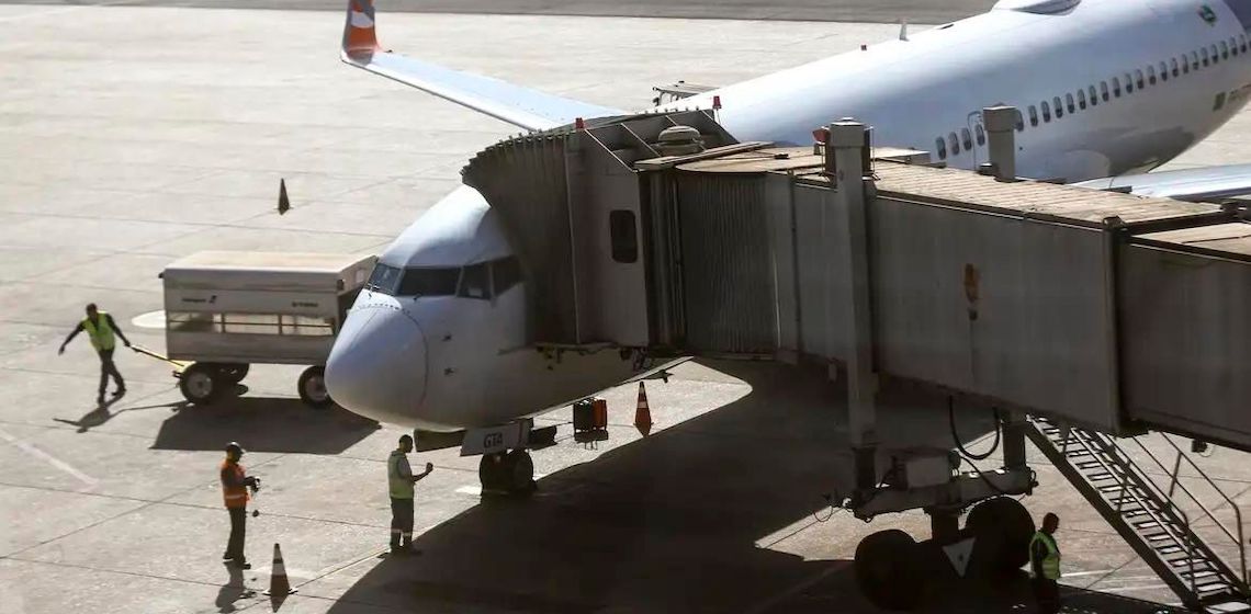 Comissão do governo vai definir regras para transporte aéreo de pets