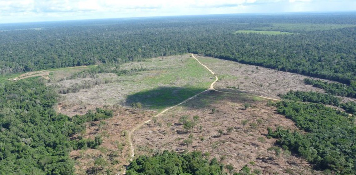 Ibama e AGU bloqueiam bens de pecuarista por danos na Amazônia