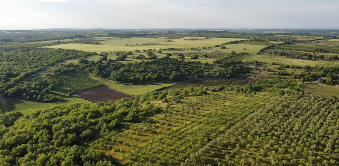 Fundo de investimento do agro cresce 147% nos últimos 12 meses