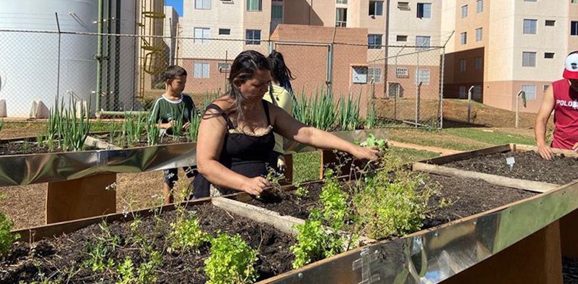 Lei da Política Nacional de Agricultura Urbana e Periurbana entra em vigor