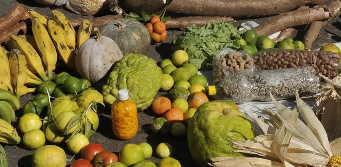 Governo firma parceria com o Instituto Zeca Pagodinho pelo fortalecimento da agricultura urbana e periurbana