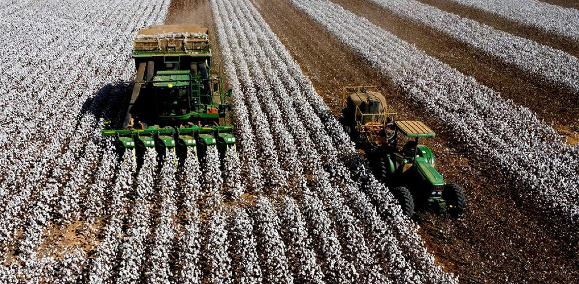 Valor das exportações do agronegócio brasileiro para China cresce 8,9% nos últimos doze meses