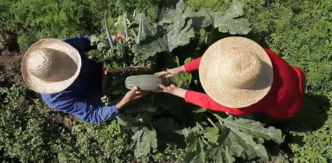 Mulheres e Agroecologia: Chapecó em Santa Cantarina será sede do I Encontro Sul-Brasileiro