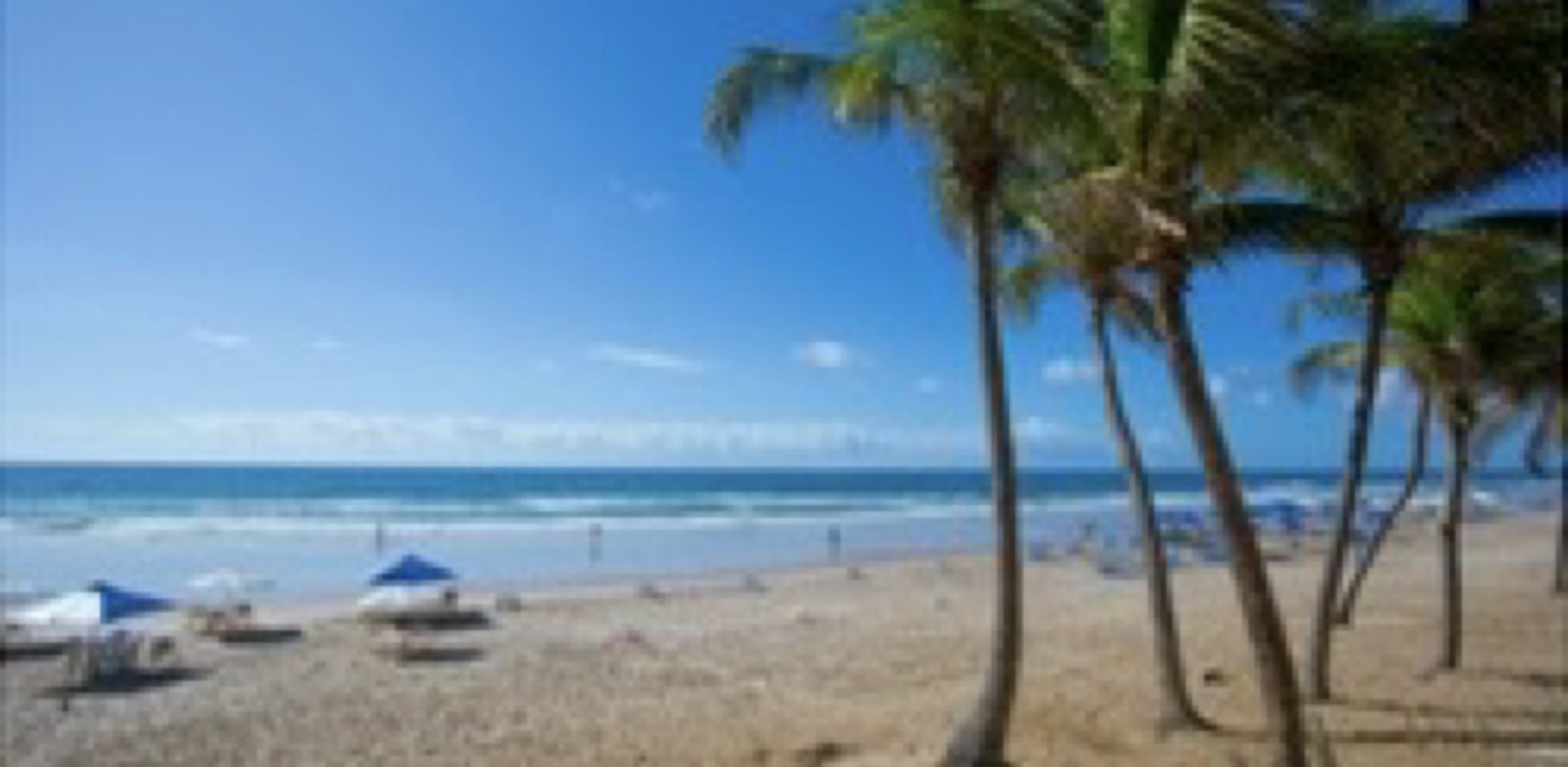 Atenção! Estão abertas 382 vagas de Especialização Técnica para Guias de Turismo que atuam no Nordeste