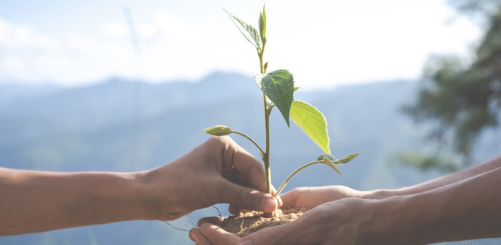 Ministério do Turismo apoia chamamento público para projetos de conservação ambiental