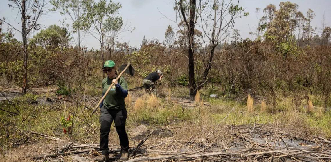 Incêndio na Floresta Nacional de Brasília foi o pior nos últimos 10 anos, diz ICMBio