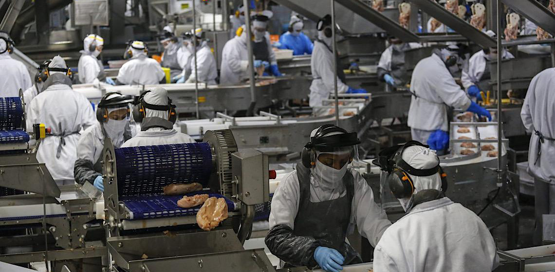 Emirados lideram importação de carne de frango em agosto