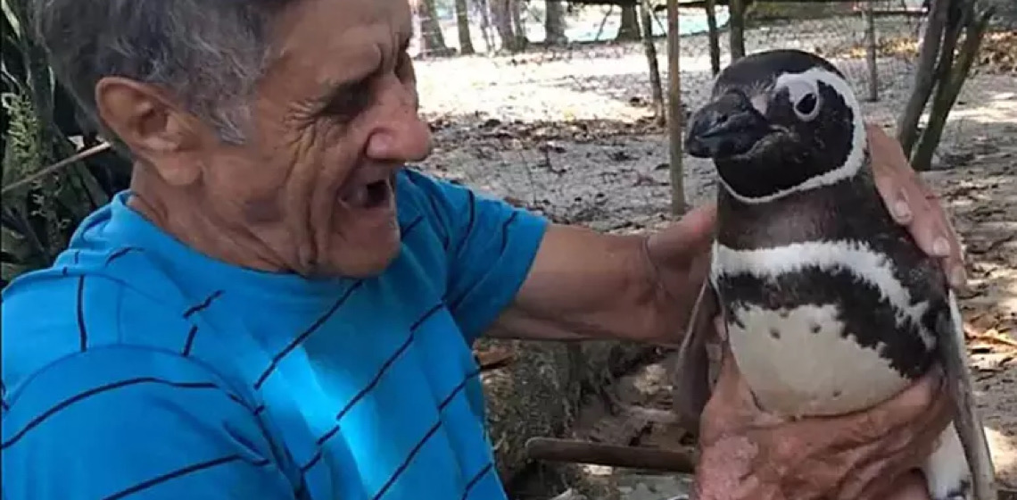 Conheça a história real de amizade entre pescador do RJ e pinguim retratada em filme