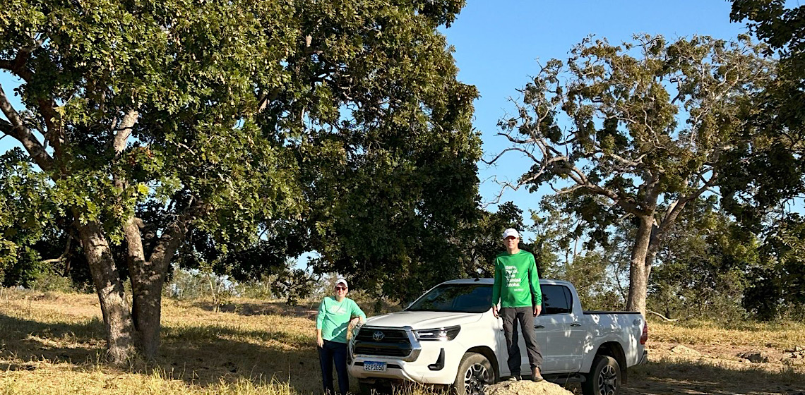 Bio2Me quer levar castanha do Cerrado ao mundo