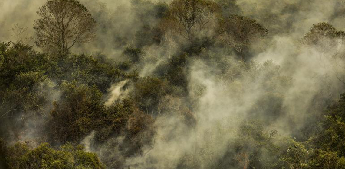Skatista Rayssa Leal ressalta preocupação com a crise climática